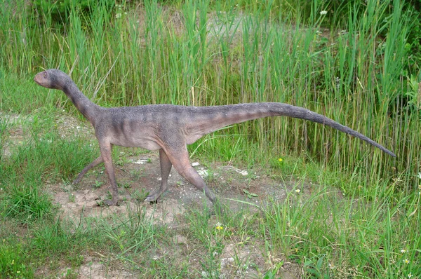 Modelo de dinosaurio —  Fotos de Stock