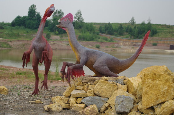 Models of dinosaurs
