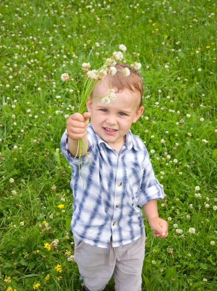 Garçon de 2 ans avec fleurs — Photo