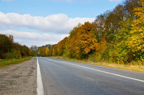 stock image Suburban autumn fall road at sunny day