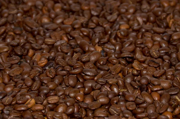 Feijão de café torrado close-up — Fotografia de Stock