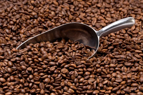 Metal scoop partially burried in coffee beans — Stock Photo, Image