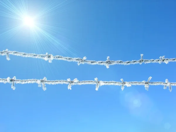 Drut Kolczasty Pokryte Śniegiem Przeciw Błękitne Niebo — Zdjęcie stockowe