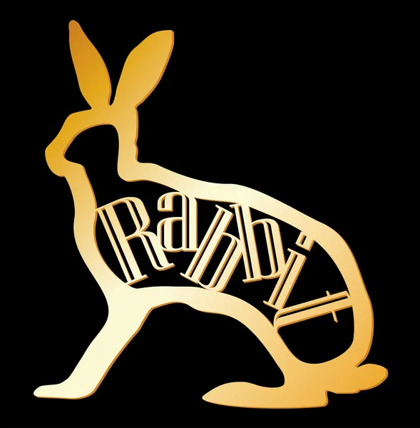 Simvol 2011 year of the rabbit — Stock Vector
