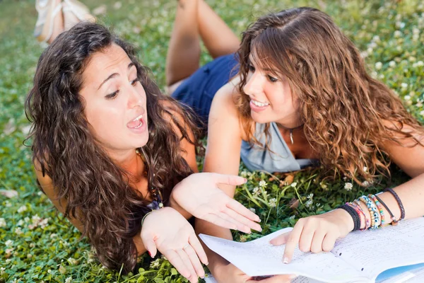 Zwei junge Frauen lernen gemeinsam im Park — Stockfoto
