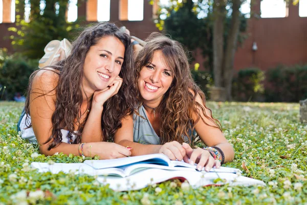 Две молодые женщины учатся вместе в парке — стоковое фото