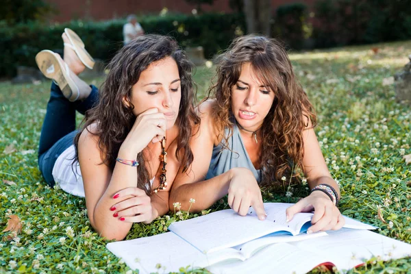 Две молодые женщины учатся вместе в парке — стоковое фото
