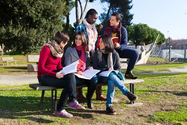 Φοιτητές που σπουδάζουν togheter στο πάρκο — Φωτογραφία Αρχείου