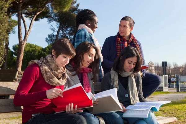 Studenci studiujący wspolnie w parku — Zdjęcie stockowe