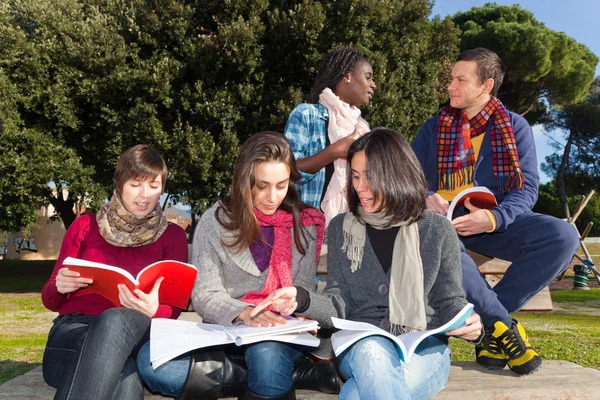 Estudantes universitários estudando Togheter no Parque — Fotografia de Stock