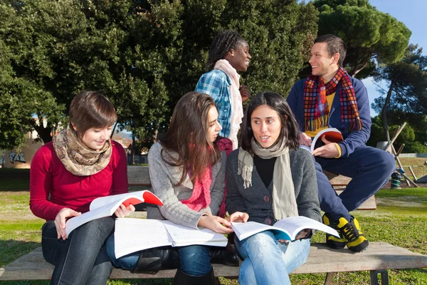 Estudantes universitários estudando Togheter no Parque — Fotografia de Stock