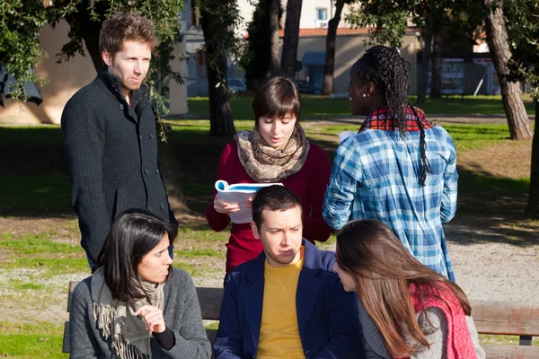 Vysokoškoláků studovat dohromady v parku — Stock fotografie