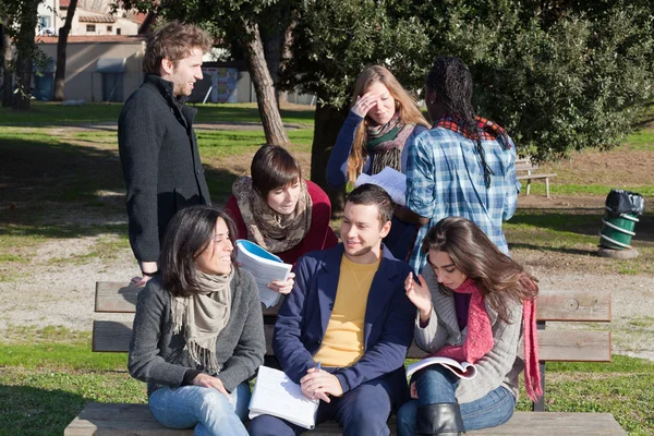Studenci studiujący razem w parku — Zdjęcie stockowe