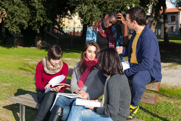 College Students Studying Together Park — Stock Photo, Image