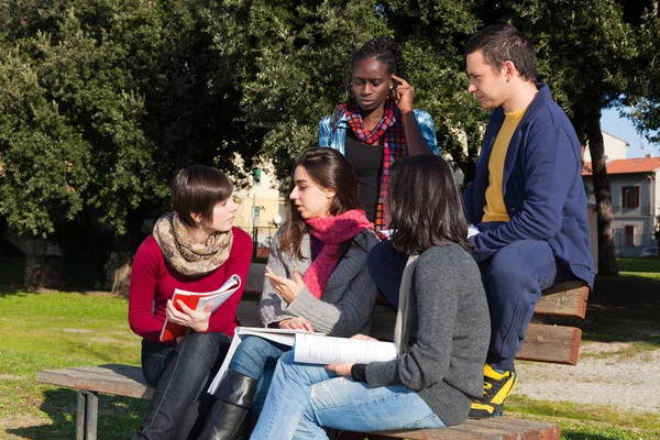 Estudiantes universitarios estudian juntos en Park —  Fotos de Stock