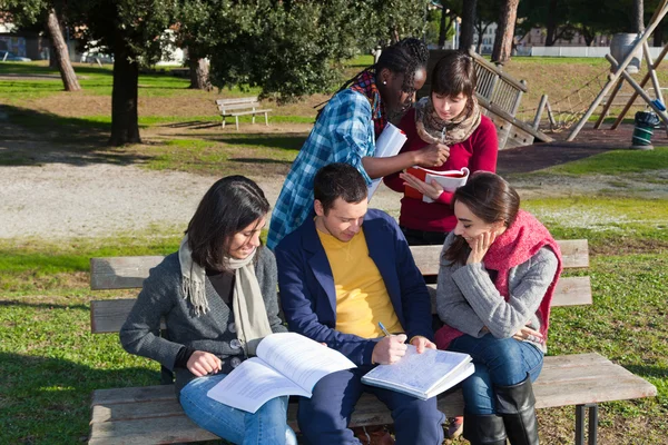 Studenti Universitari Che Studiano Insieme Parco — Foto Stock