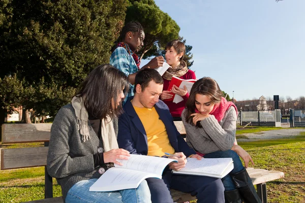 Vysokoškoláků Studovat Dohromady Parku — Stock fotografie