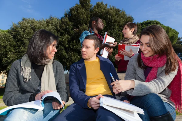 College Students Studying Together Park — Stock Photo, Image