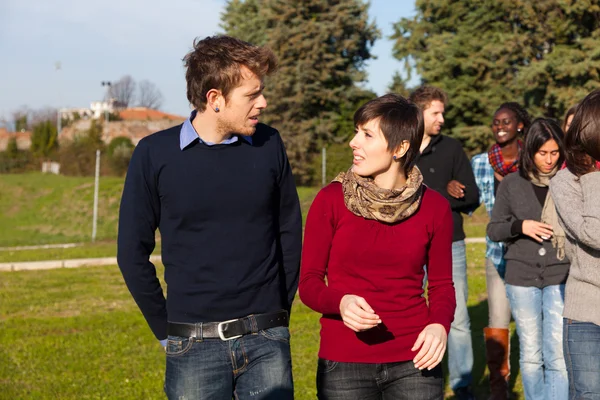 Estudantes Universitários Caminhando Conversando Parque — Fotografia de Stock