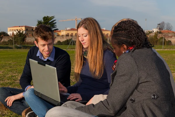 Mahasiswa Dengan Komputer Taman — Stok Foto