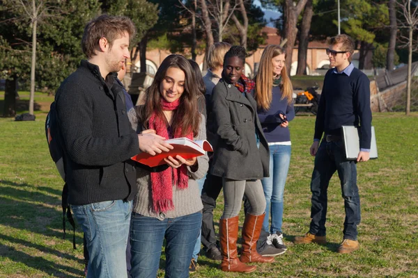 Estudiantes universitarios caminando y hablando en el parque —  Fotos de Stock