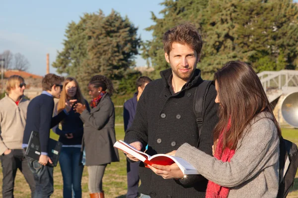 College Students Walking Talking Park — Stock Photo, Image