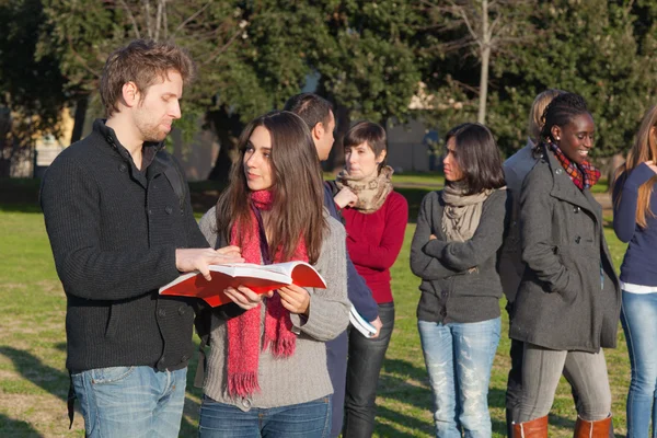 Studenten lopend en pratend in park — Stockfoto