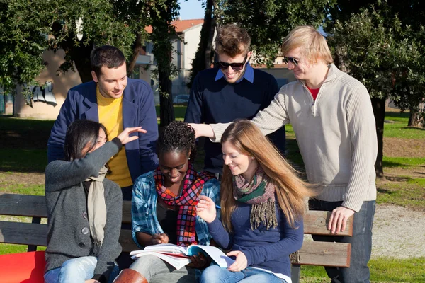 Студенты колледжей вместе учатся в парке — стоковое фото
