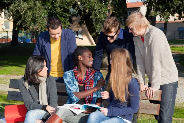 Studenci studiujący razem w parku — Zdjęcie stockowe