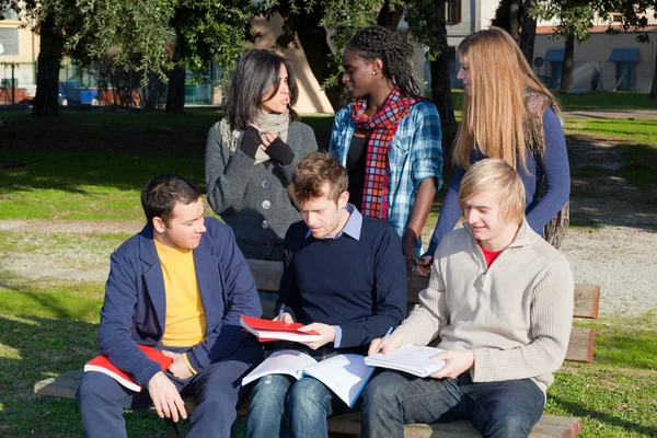 Estudantes universitários estudando juntos no parque — Fotografia de Stock