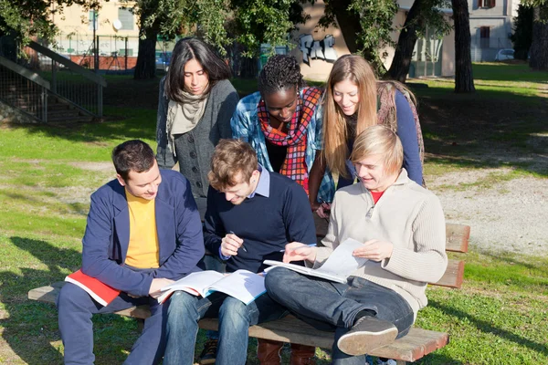 Vysokoškoláků studovat dohromady v parku — Stock fotografie