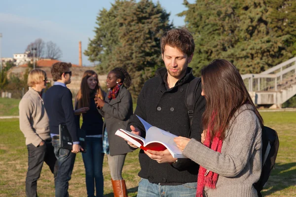 Estudiantes universitarios caminando y hablando en el parque — Foto de Stock