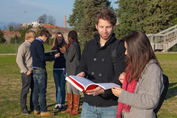 Studenti vysoké školy chodí a mluví v parku — Stock fotografie