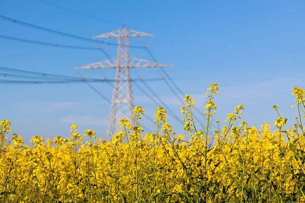 Pilon de eletricidade no campo na primavera — Fotografia de Stock