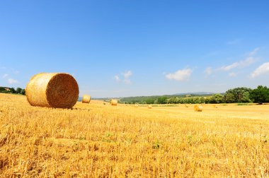 Hay Bales clipart