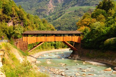 Wooden Bridge clipart