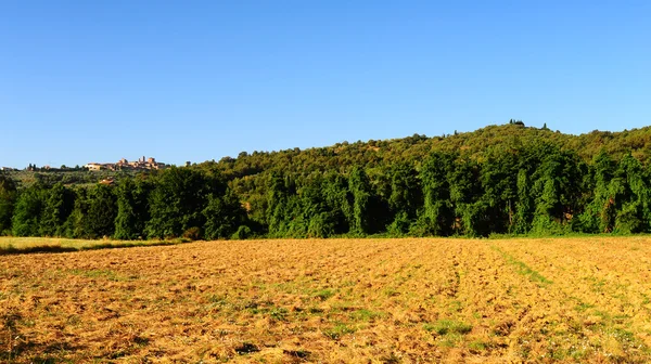 Geploegd velden — Stockfoto