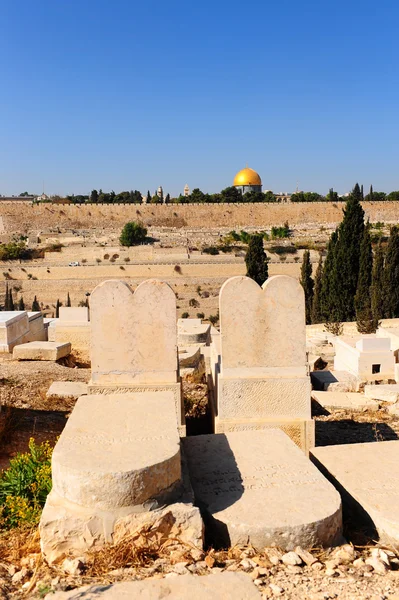 유태인 묘지 — 스톡 사진