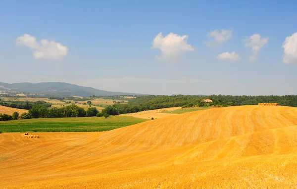 Paesaggio della Toscana — Foto Stock