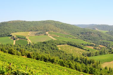 tepe Toskana chianti bölgesinde üzüm