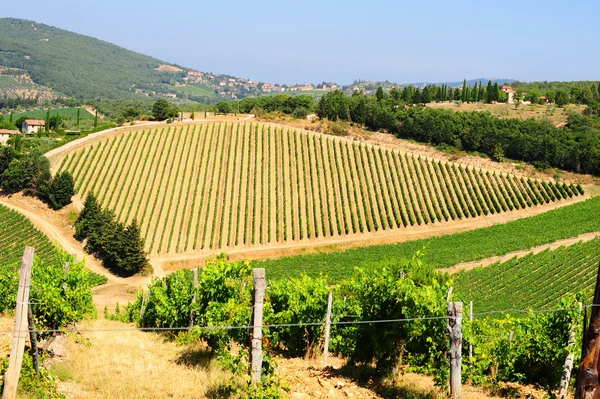 Heuvel van Toscane — Stockfoto