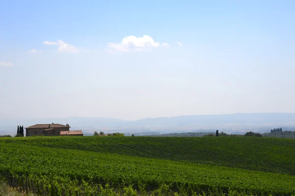 Hill Tuscany Vineyard Chianti Region — Stock Photo, Image