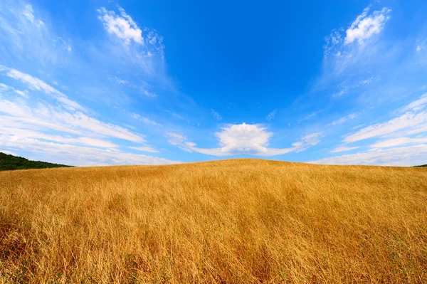 Toskana Dalgalı Tepeler Mavi Bulutlu Gökyüzü Altında — Stok fotoğraf