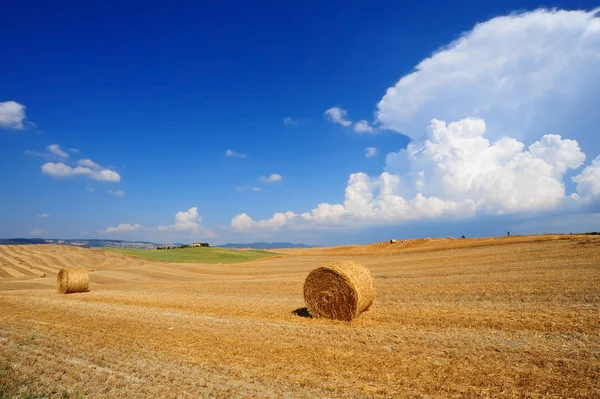 Toscana Landskap Med Många Höbalar Middagen — Stockfoto
