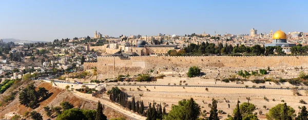 Panorama van Jeruzalem Stockafbeelding