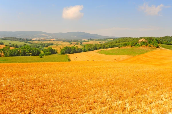 Landschap Toscane — Stockfoto