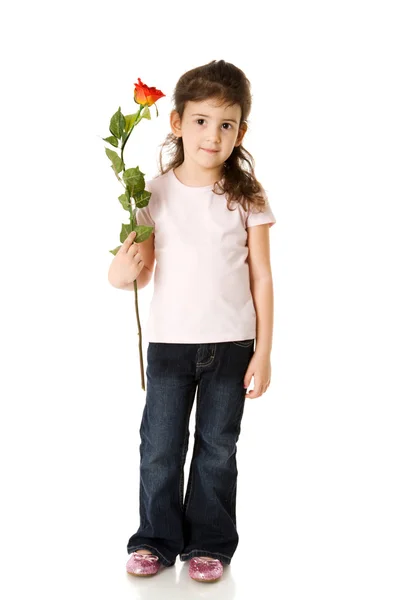 Fröhliche Fünf Jahre Mädchen Hält Rose Isoliert Auf Weiß — Stockfoto