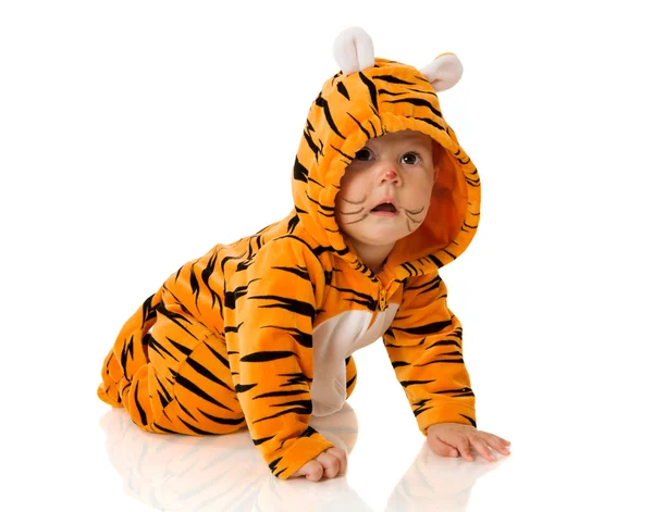 Φορώντας Τίγρη Μωρό Έξι Μήνα Ταιριάζουν Συνεδρίαση Που Απομονώνονται Λευκό — Φωτογραφία Αρχείου