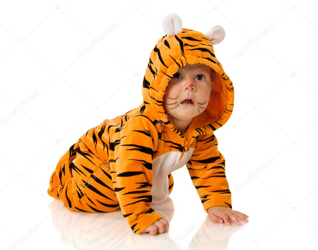 Tiger Baby Stock Photo By C Olgasweet