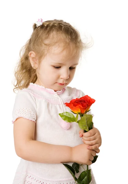 Kleines Mädchen Das Eine Rose Der Hand Hält Schaut Isoliert — Stockfoto